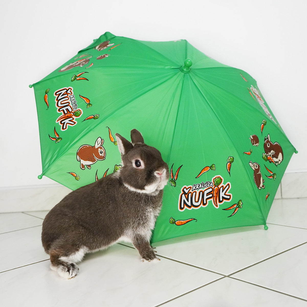 Deštník Ňufík Green
